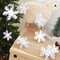 12PCS Snowflakes Garland & 12PCS 3D Glittery Snowflake Decor - White